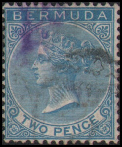 Bermuda #2 Used