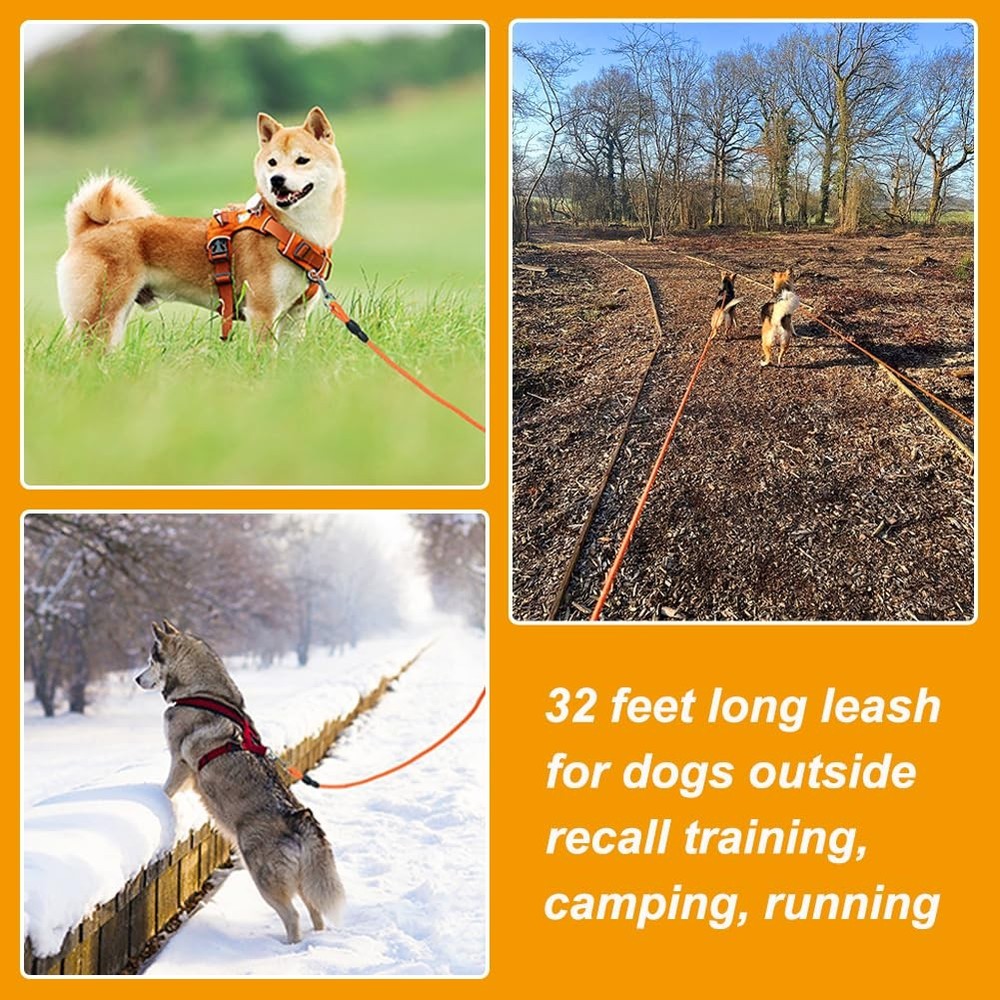 Floating Long Dog Leash, 32FT Long Leash for Dog Training, Lightweight Check ...