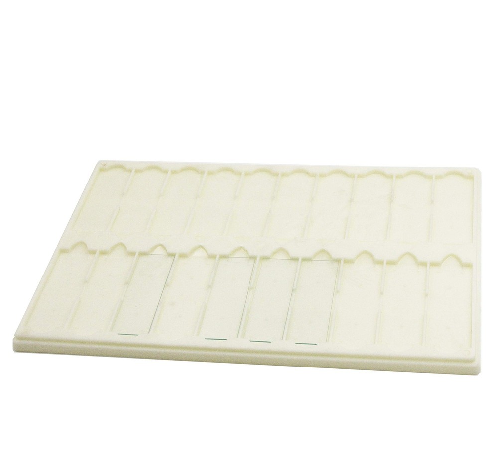 Plastic Microscope Slide Tray; 20 Capacity, Pack Green, Orange, Blue, White