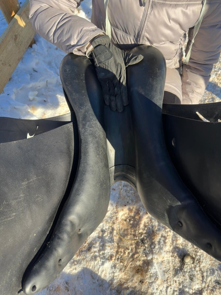 prestige dressage saddle