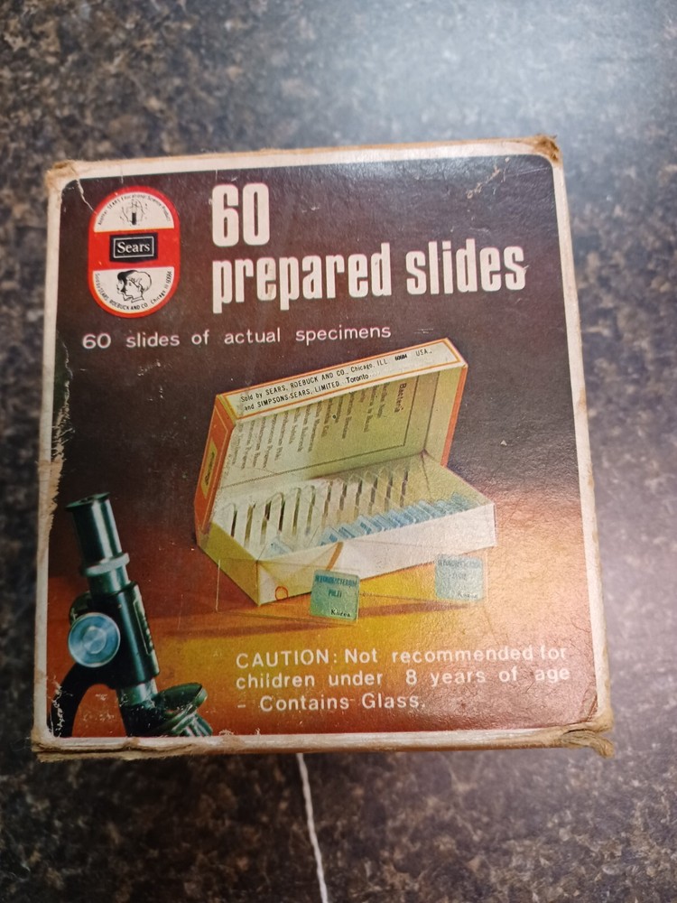 Vintage Sears Prepared And Labeled Microscope Slides