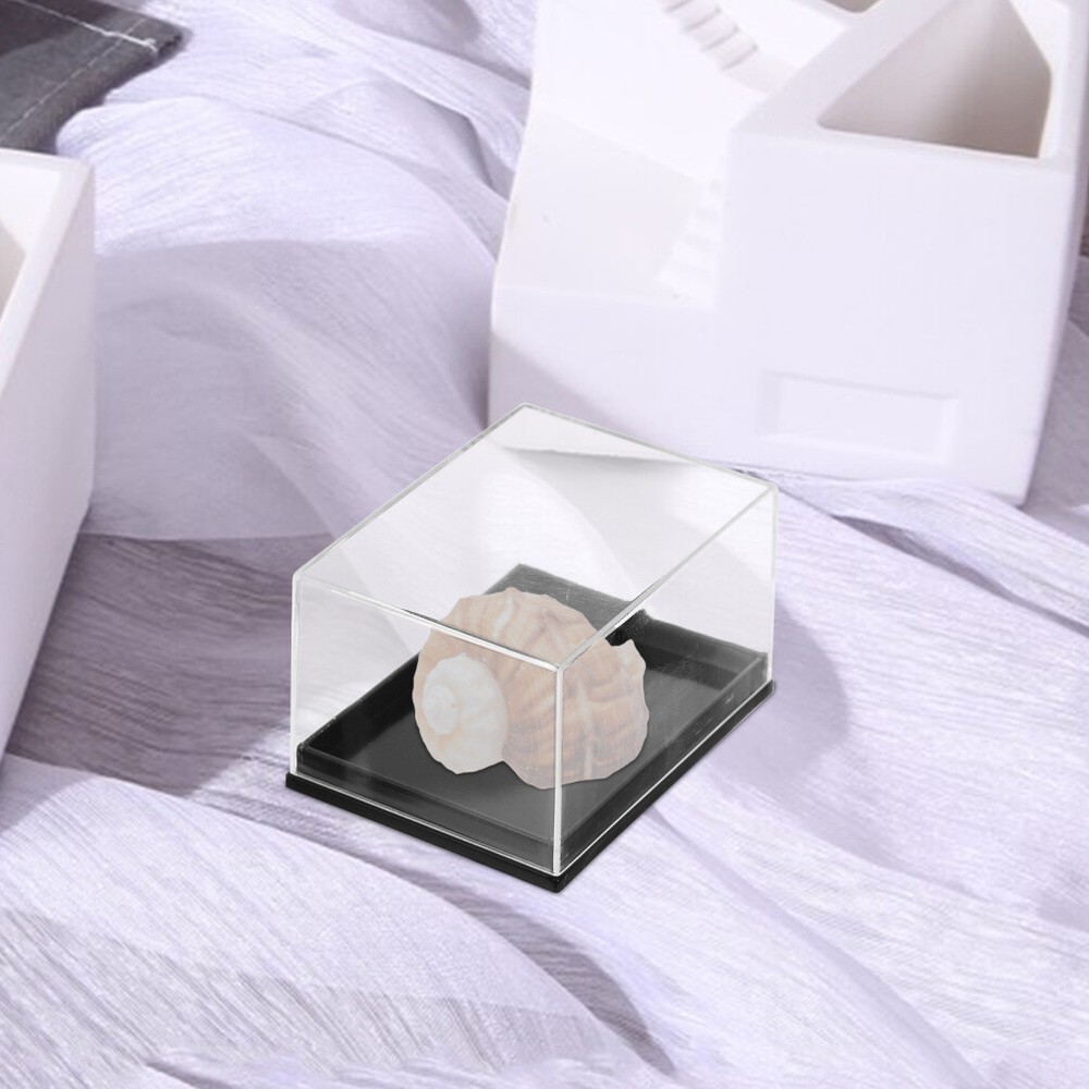 4 Pcs Plastic Specimen Display Containers Clear Boxes for Mineral Sample Storage