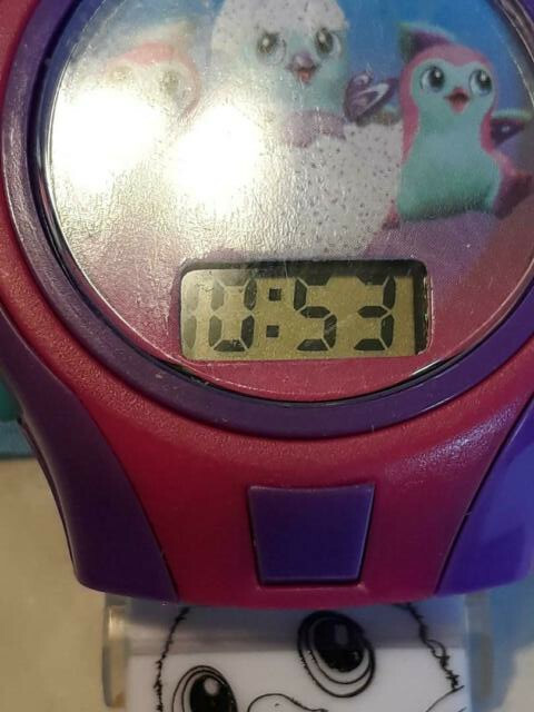 Hatchimals LCD Kids Watch ~ TESTED WORKS