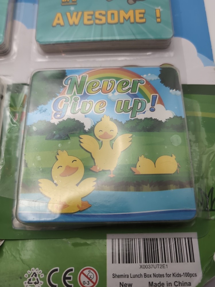 Lunch Box Notes 100 Count. You Are Awesome Never Give Up