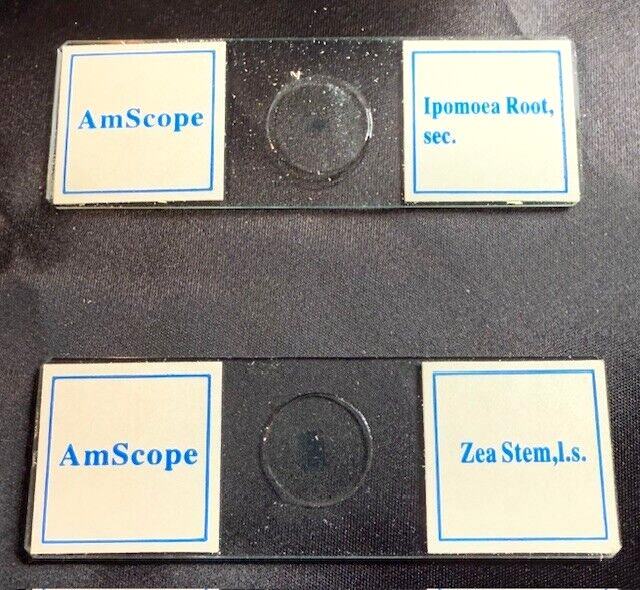 AmScope PS100E 100 Homeschool Biology Prepared Microscope Slides - Set E