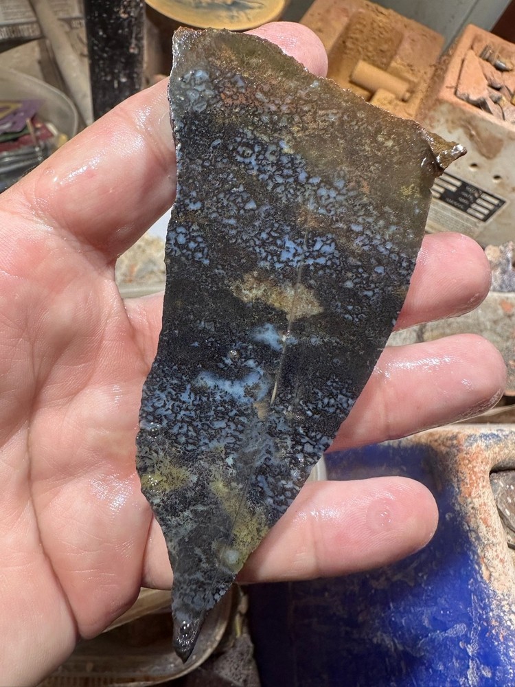 Dinosaur bone rough slab.