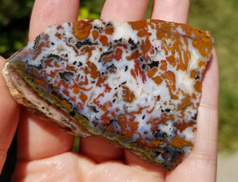 Wingate Pass - Plume Agate - Slab