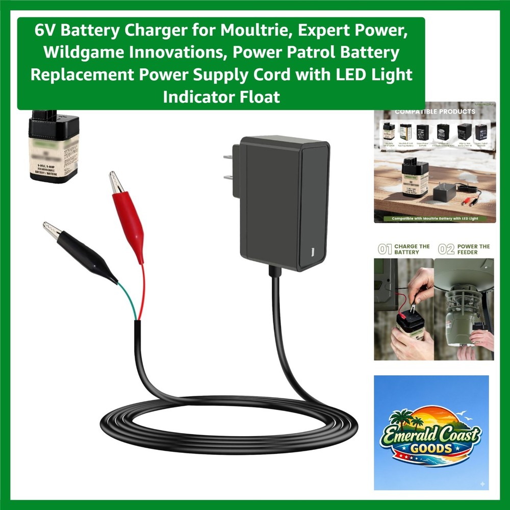 6V Battery Replacement Charger with LED Indicator & Self-Adapting Plug Design