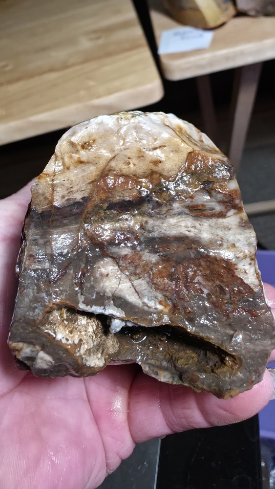 agatized petrified wood 3pc. Lot