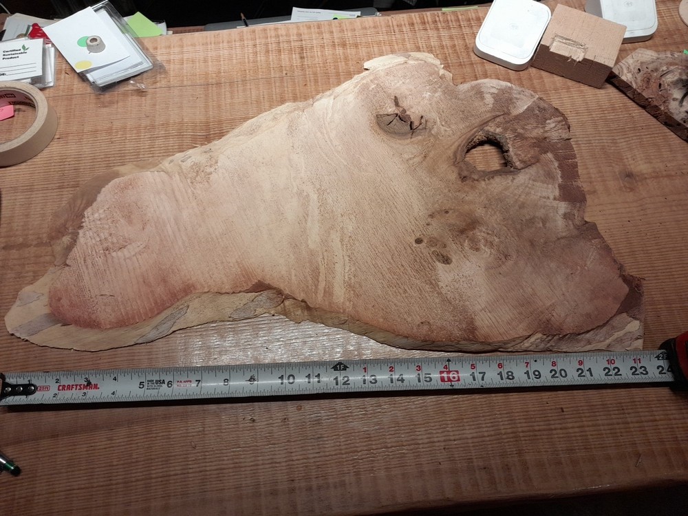 Live Edge Maple Burl 1/2  Inch Thick