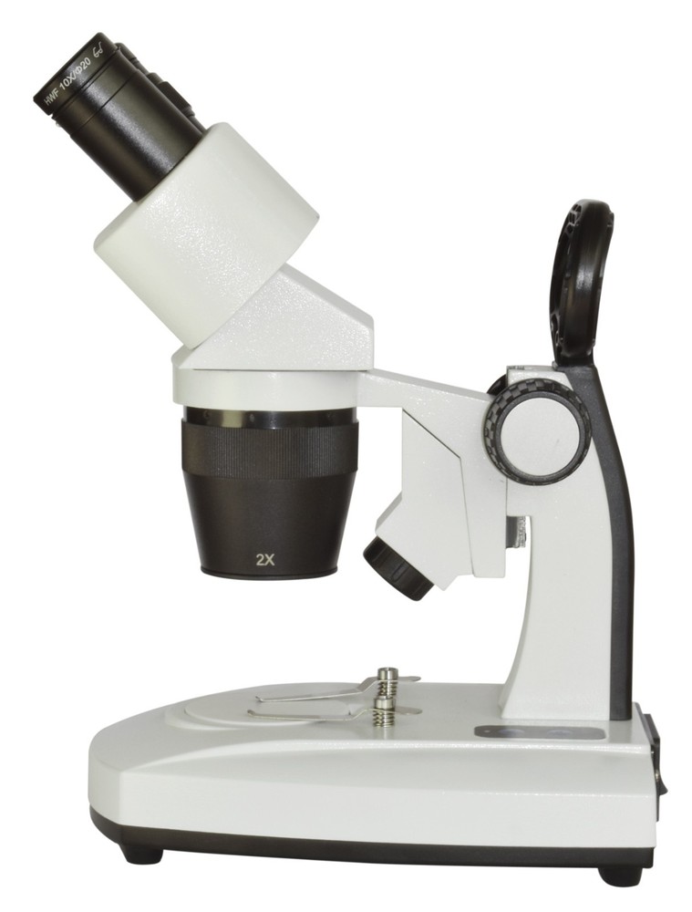 Binocular Stereo Microscope 20–80x with 2x–4x Objective Dual LED
