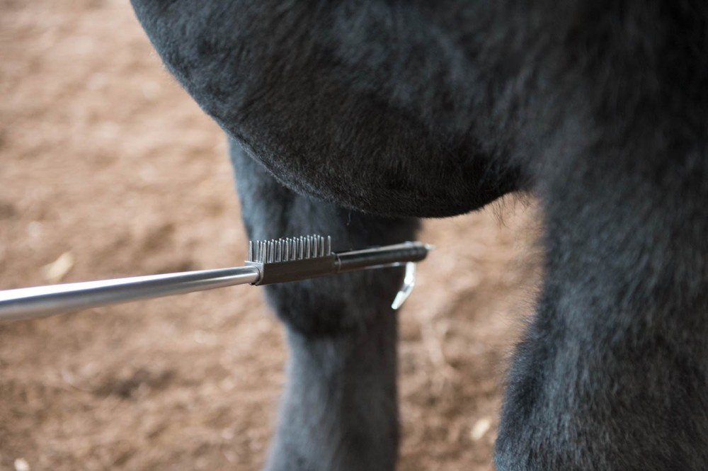 Weaver, Stick Calm, Show stick accessory