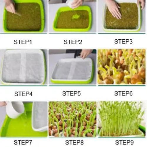 Hydroponic Microgreens Sprouter Tray – Ideal for Sprouting & Nursery Use