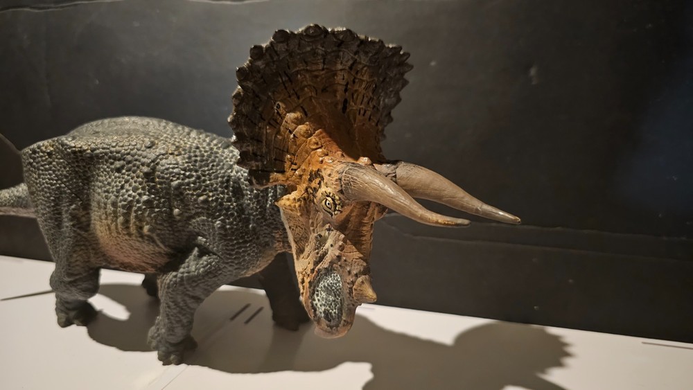 PNSO Vintage Triceratops