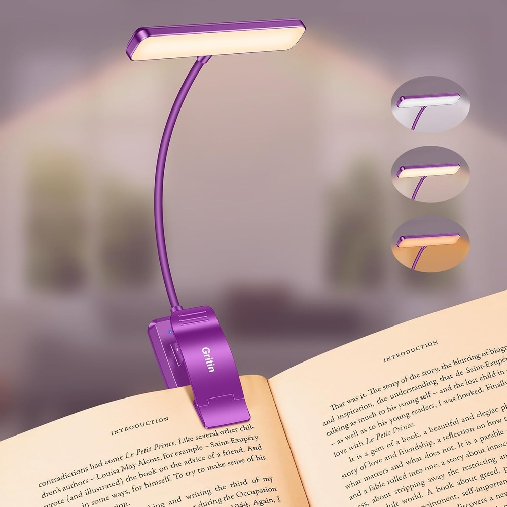 19 LED Rechargeable Book Light for Reading in Bed with Memory Function- Eye C...