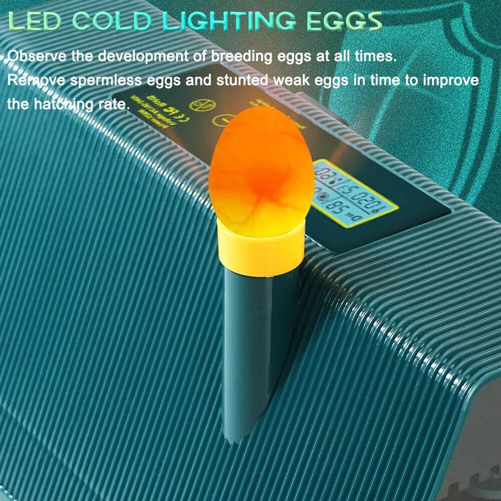 Egg Incubator Automatic Chicken Quail Chick Hatcher Incubators For Hatching Eggs