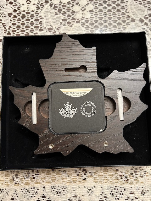 2016 $20 Canada's Colourful Maple Leaf Silver Coin