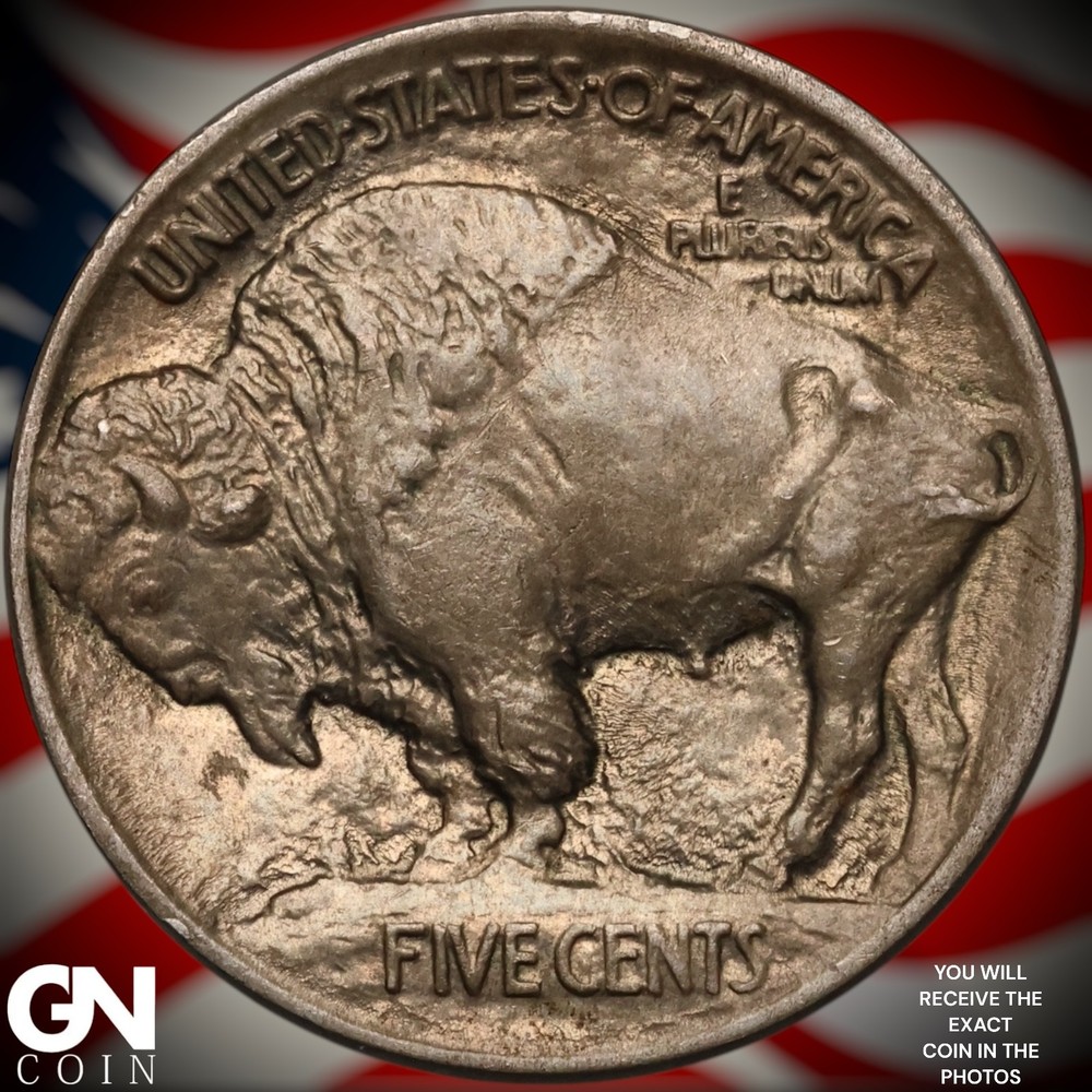 1913 P TYPE 1 Buffalo Nickel A7803