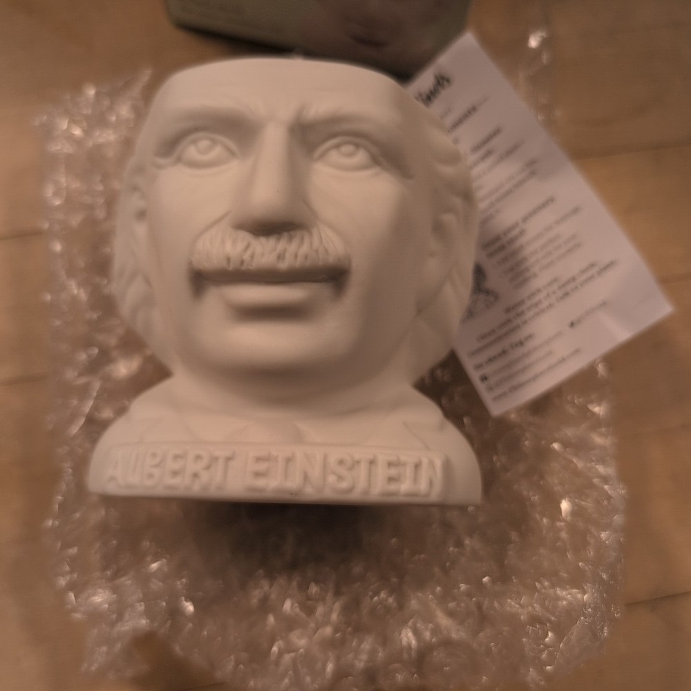 Fertile Minds Albert Einstein Ceramic Planter Pot New Open Box