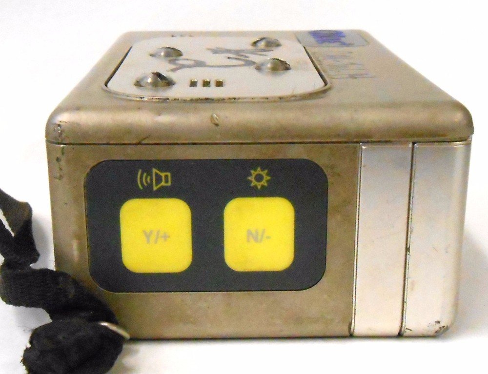 QRAE+ PMG2000 MULTIPLE GAS DETECTOR, RAE