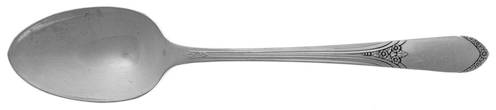 International Silver Mary Lou-Devonshire  Teaspoon 252083