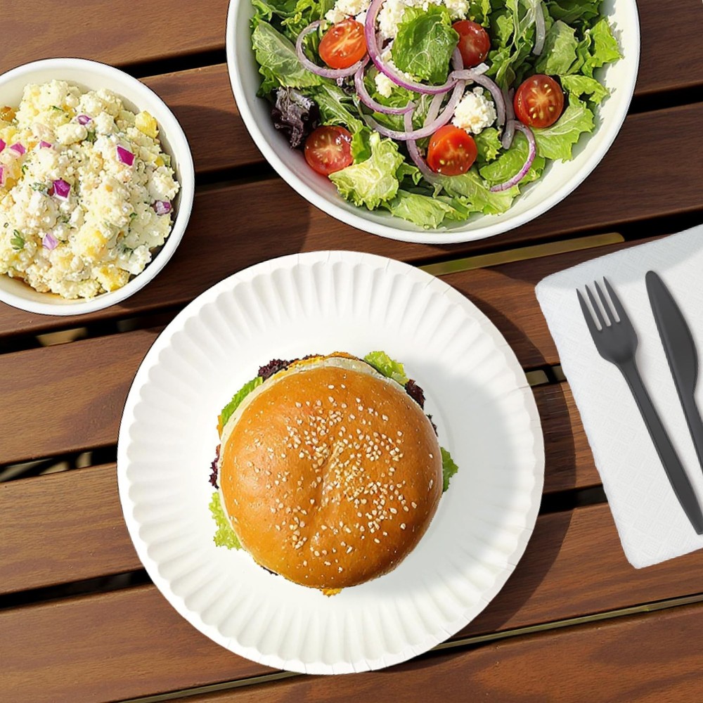 Amazon Basics 9" Uncoated White Paper Plates 100 1 pack (100 count),