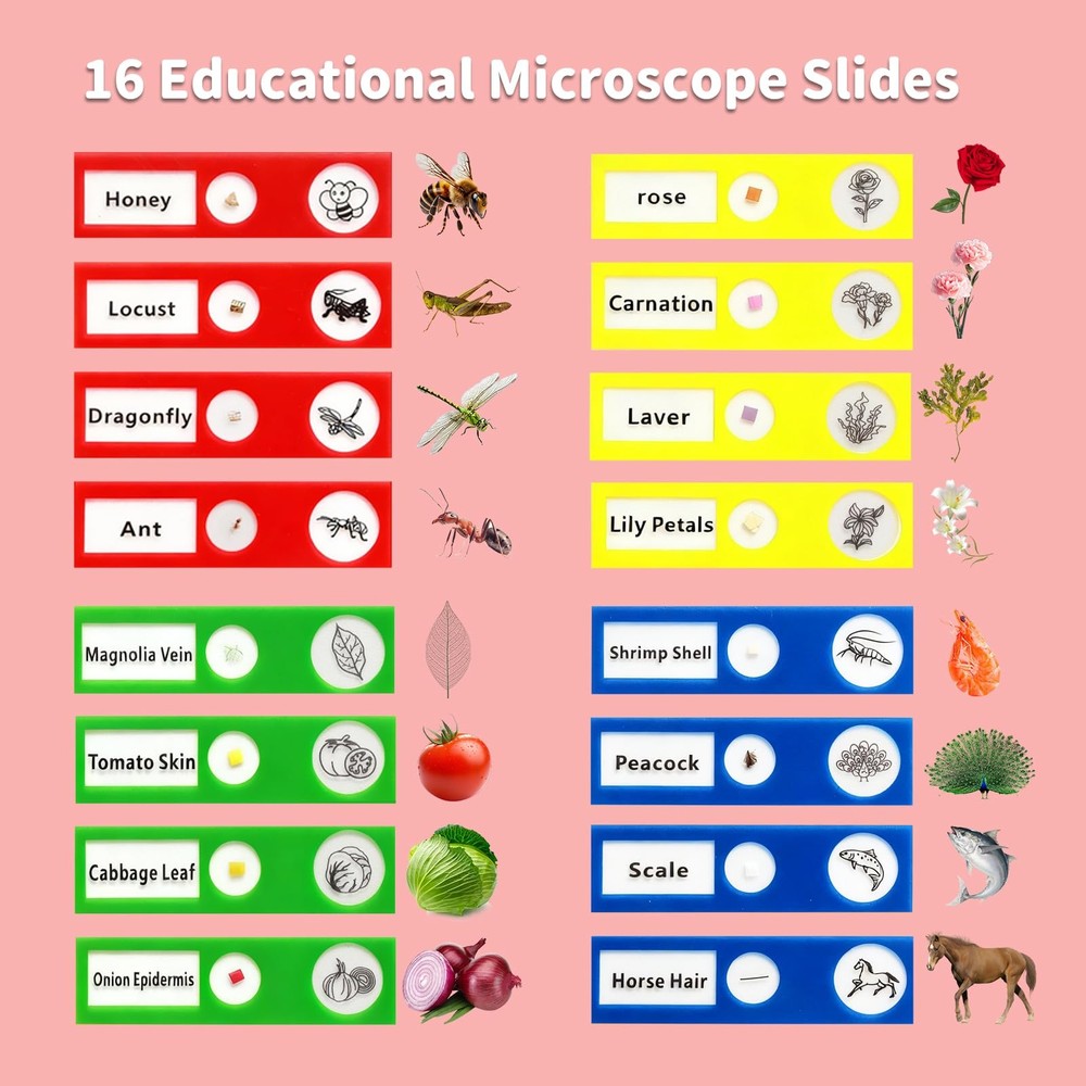 Microscope for Kids, 2.4" Handheld Digital Pocket - STEM Educational Tool