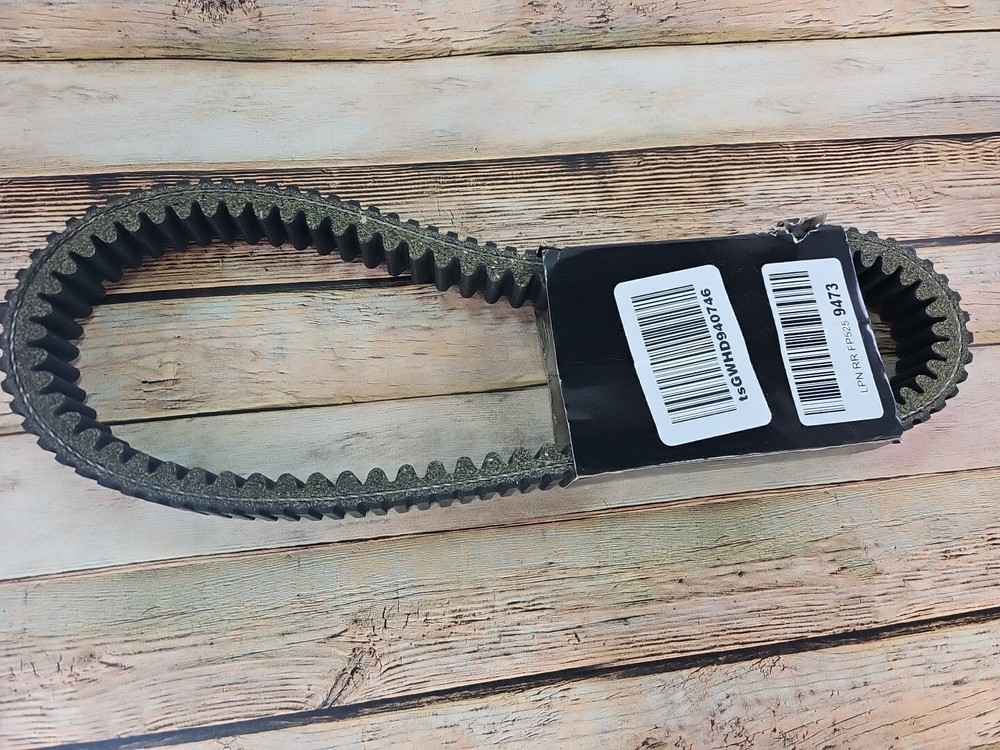 Caltric Drive Belt BT119