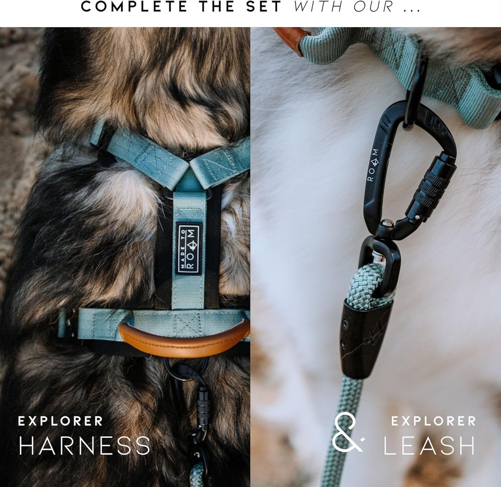 Nylon Dog Collar - Adjustable, Quick-Release Buckle