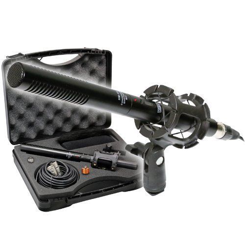 Panasonic NV-DS30 Camcorder Professional External Microphone 13PC Kit Vidpro
