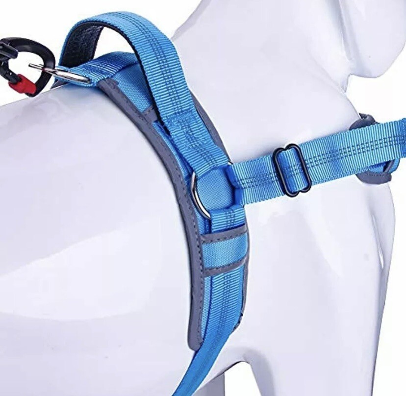AdventureMore No Pull Choke Free Dog Halter Harness Leash Set - Sz Medium