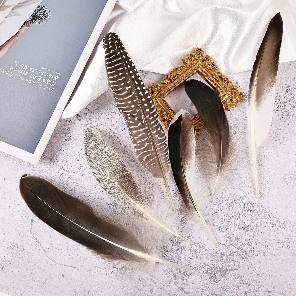60pcs Natural Pheasant Feathers Bulk Spotted Feathers 6 Styles Mixed Feathers...