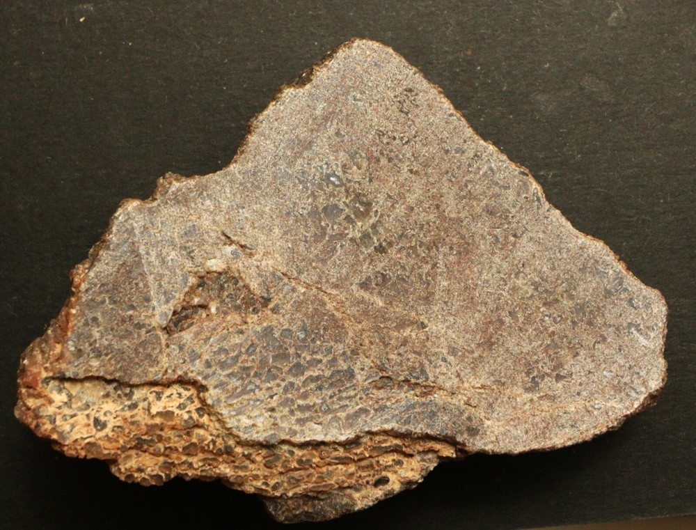 JG Agatized Gem Dinosaur Bone Slab 108.6 grams 011