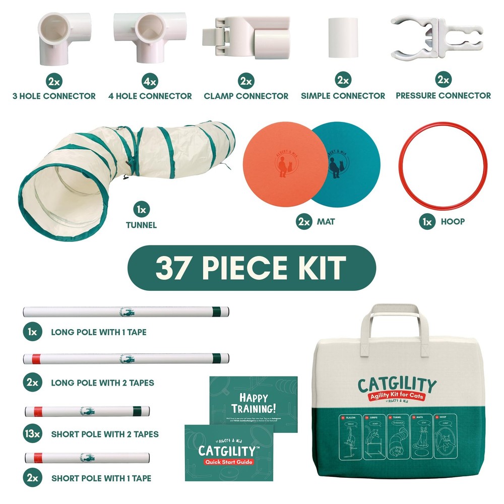 CATGILITY Cat Agility Equipment + Clicker Trainer Guide – Exercise Agility Co...