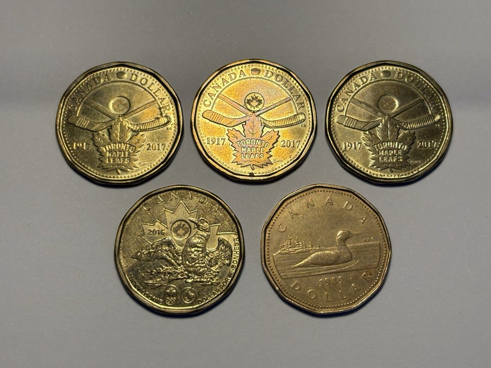(5) Canada $1 One Dollar Coins 1989-2017 Special/ Regular Designs - Circulated
