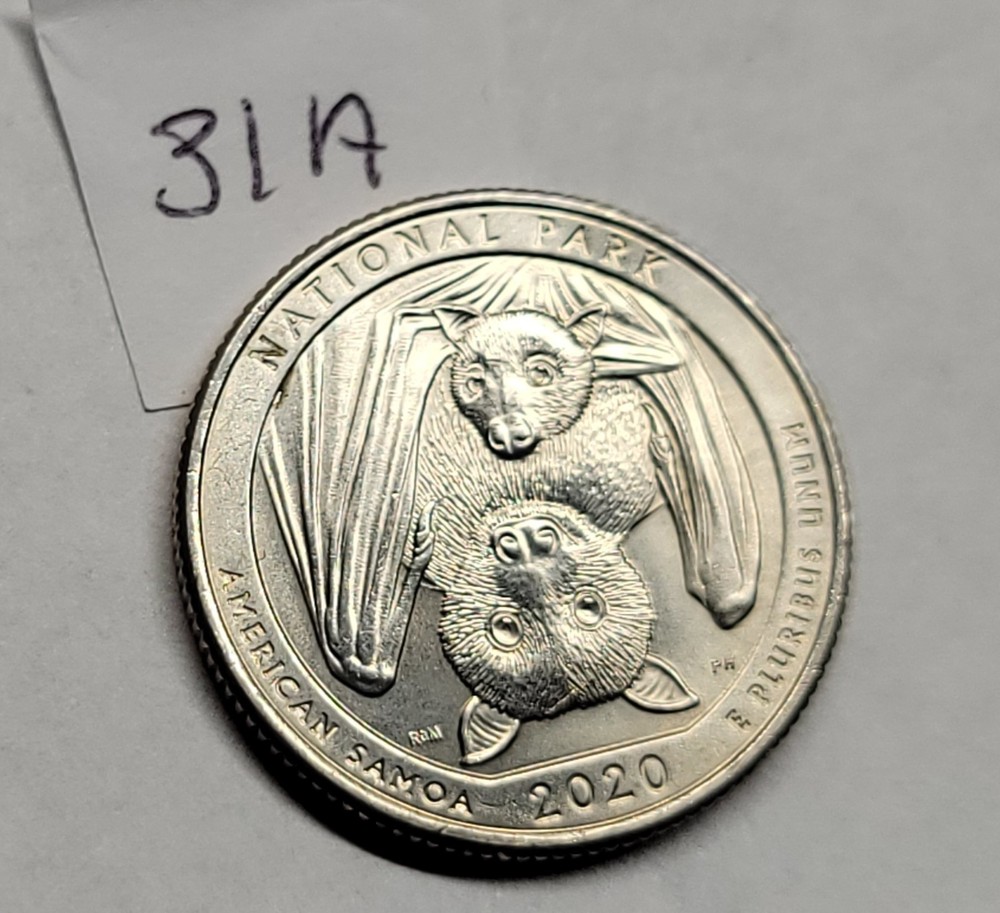 2020P WASHINGTON QT ERROR ( GREASE -MISSING FUR )31A