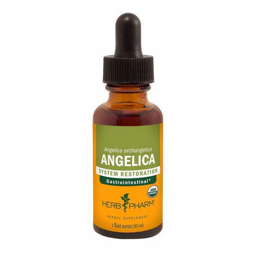 Angelica 1 Oz  by Herb Pharm