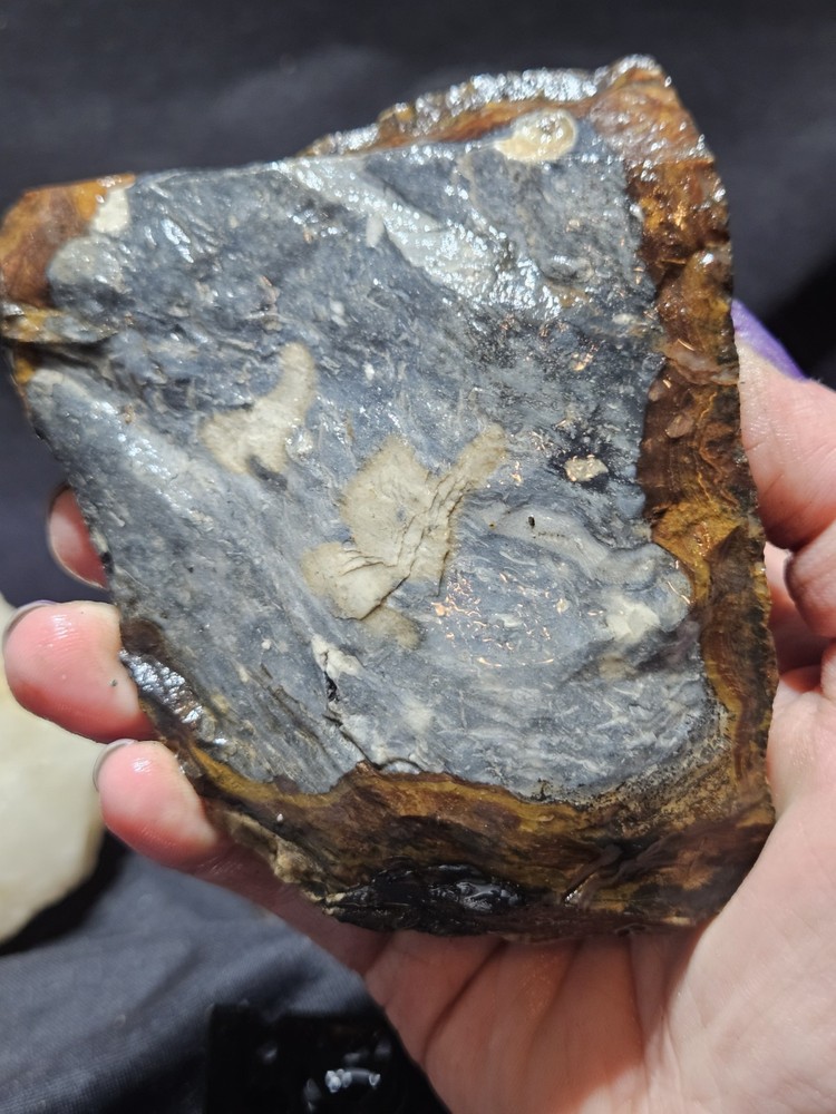 Biggs Jasper Multi Colored w/ Dendric Specimen Natural Form (14oz)