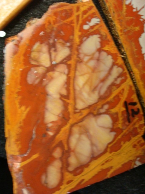 noreena jasper 4 slabs