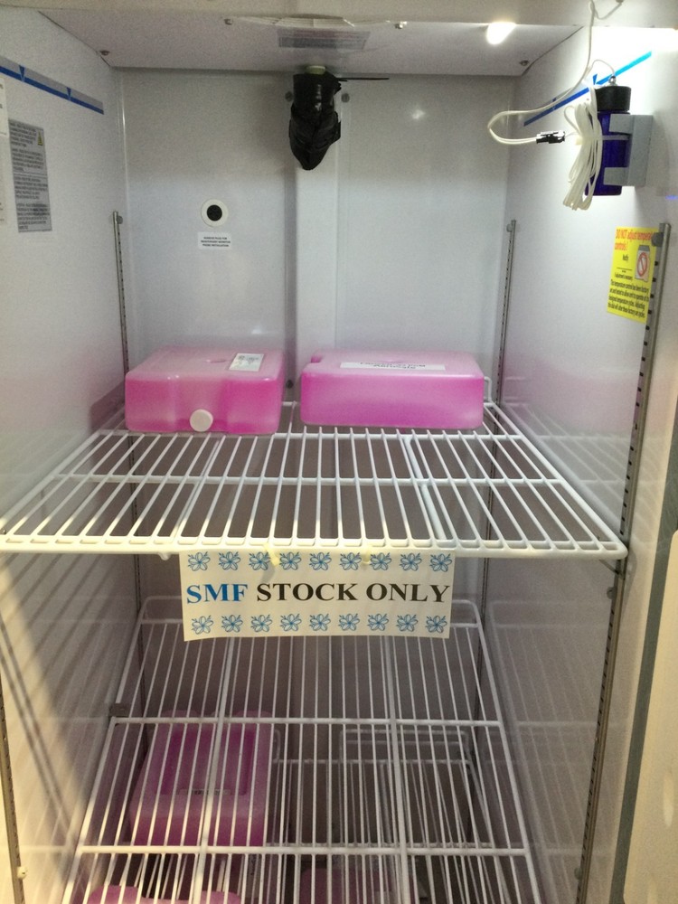 ABS MID FREEZE TECH 3000 SINGLE DOOR LAB FRIDGE