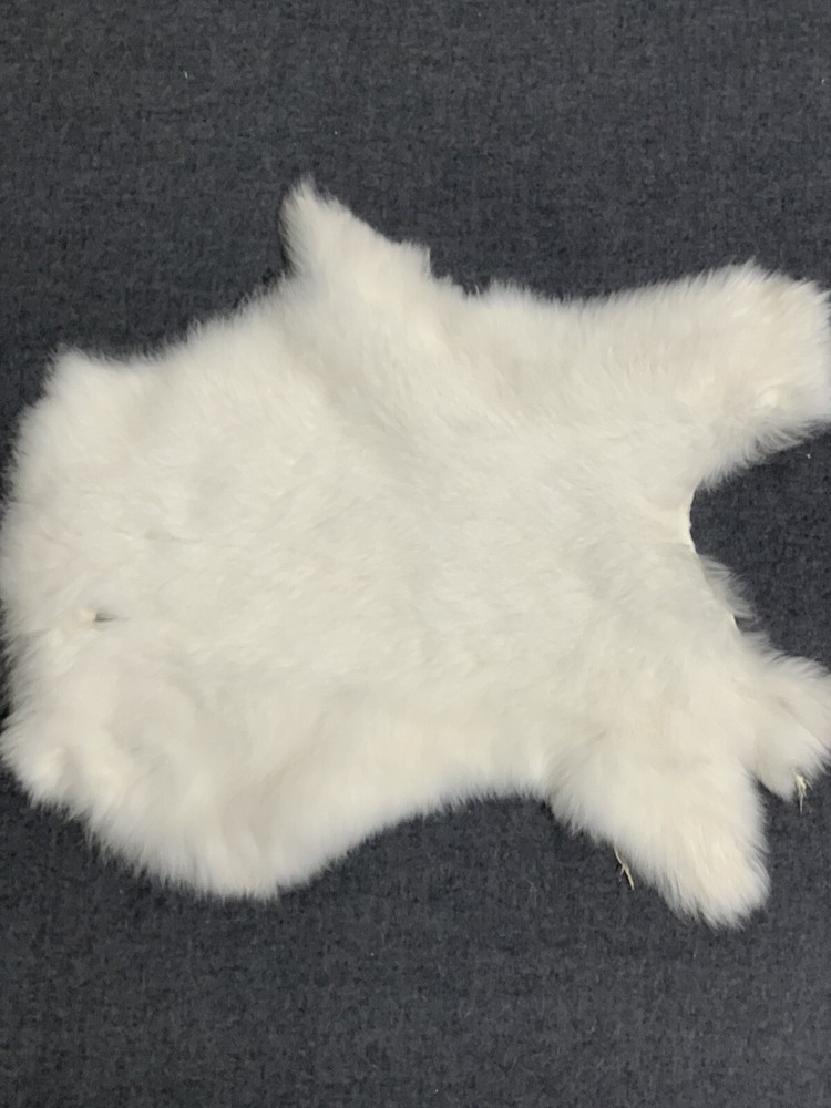 Printed Rabbit Pelt: Bear