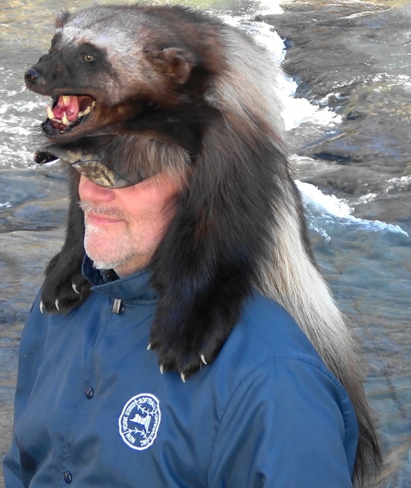 Wolverine fur hat