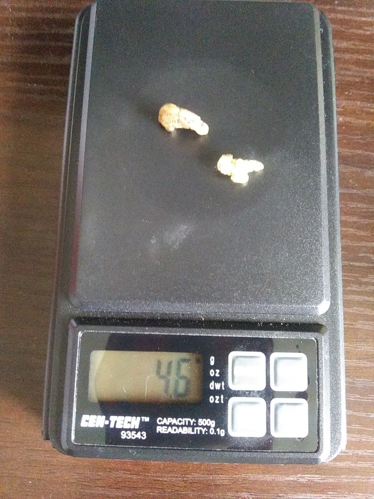 6.0g Natural Gold Nuggets - 4 Nuggets