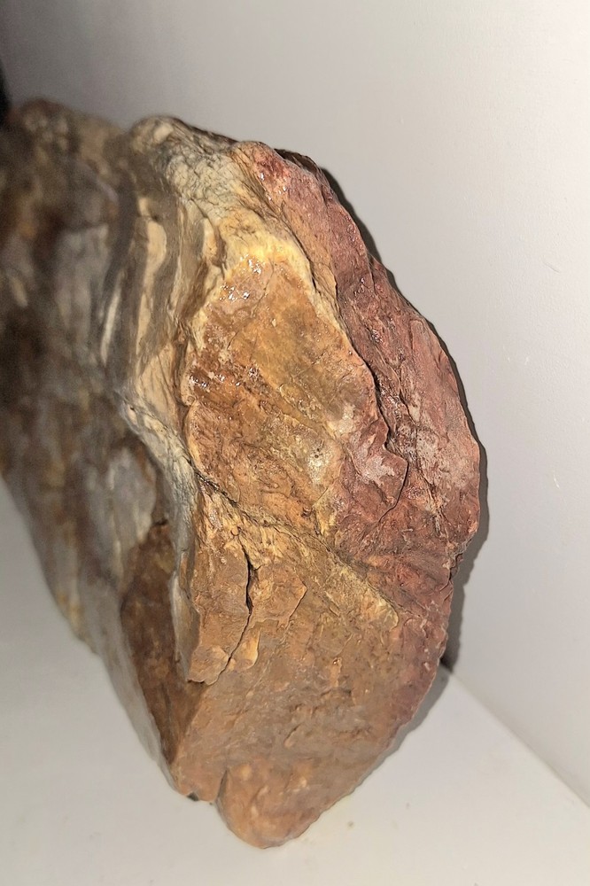 Petrified Wood