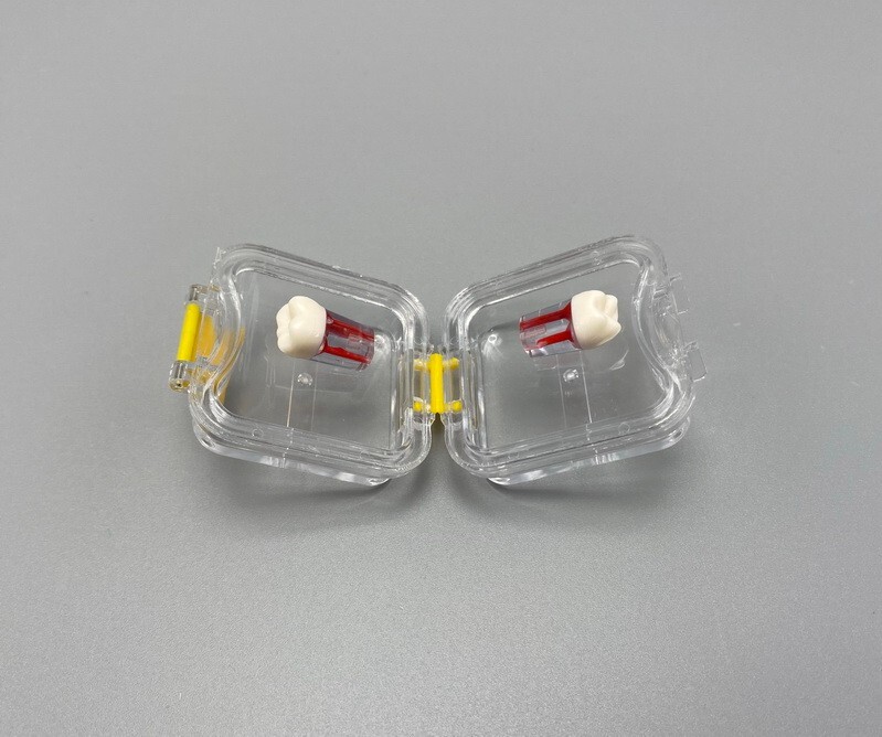 10Pcs Denture False Teeth Membrane Case Container Hinged Display Box Jewelry