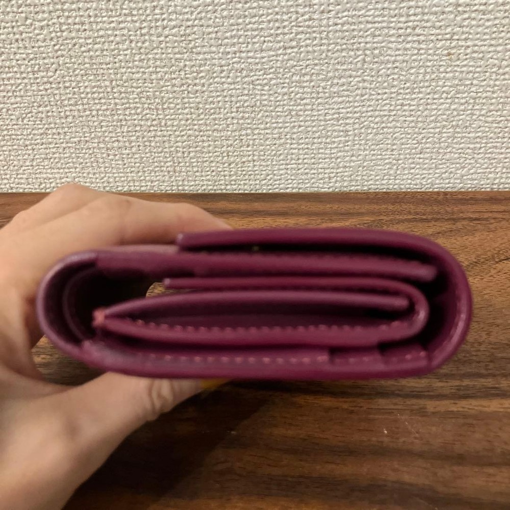 CELINE 10B573BEL Small Tri Fold Wallet From Japan