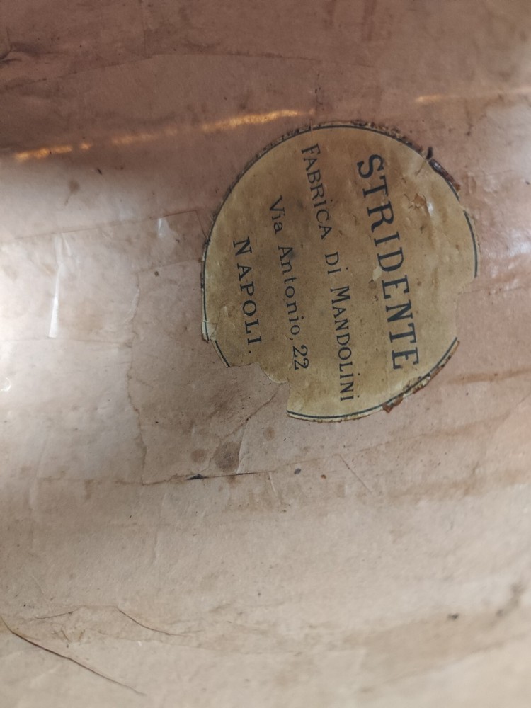 Mandolin 4/4 Strident 1930 Naples 曼陀林 만돌린マンドリン