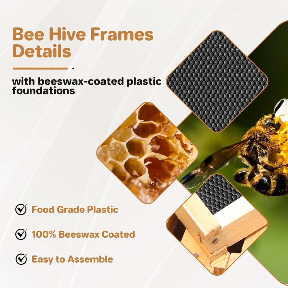 10-Frame Deep Brood Box Wax Coated Bee Hives Deep Box with Beehives Frames