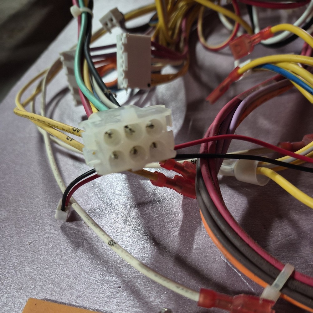 Pentair MasterTemp And Max-E-Therm Wire Harness And Components