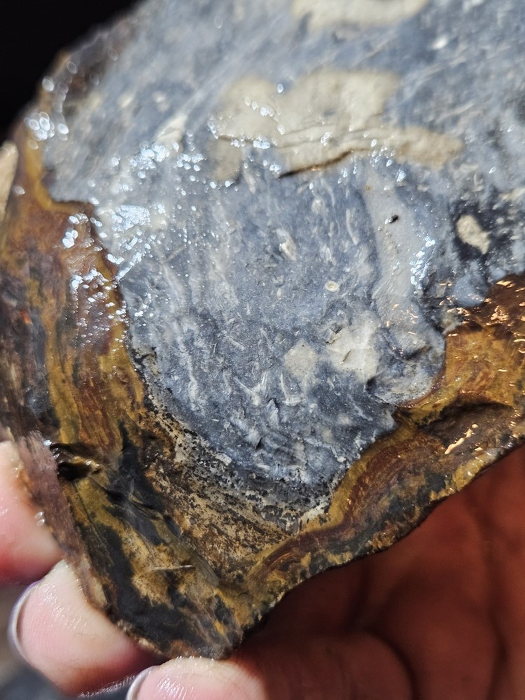 Biggs Jasper Multi Colored w/ Dendric Specimen Natural Form (14oz)
